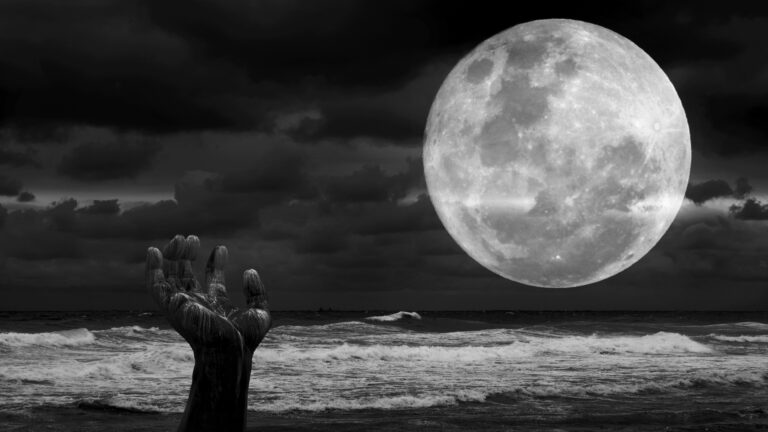 Steeve DUBOIS - Reach-to-the-Moon